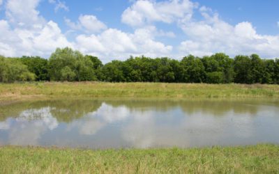 How Do Detention and Retention Ponds Manage Stormwater?